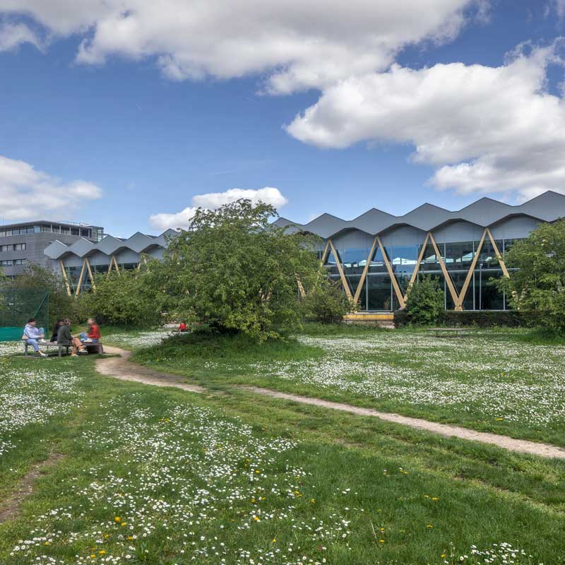 Belle année 2025 : Préparons ensemble les campus de demain