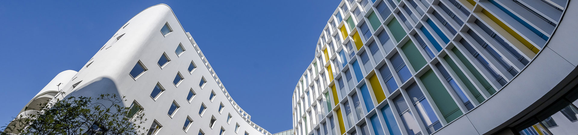 Elaboration du schéma pluriannuel de stratégie immobilière de l'université Sorbonne Nouvelle