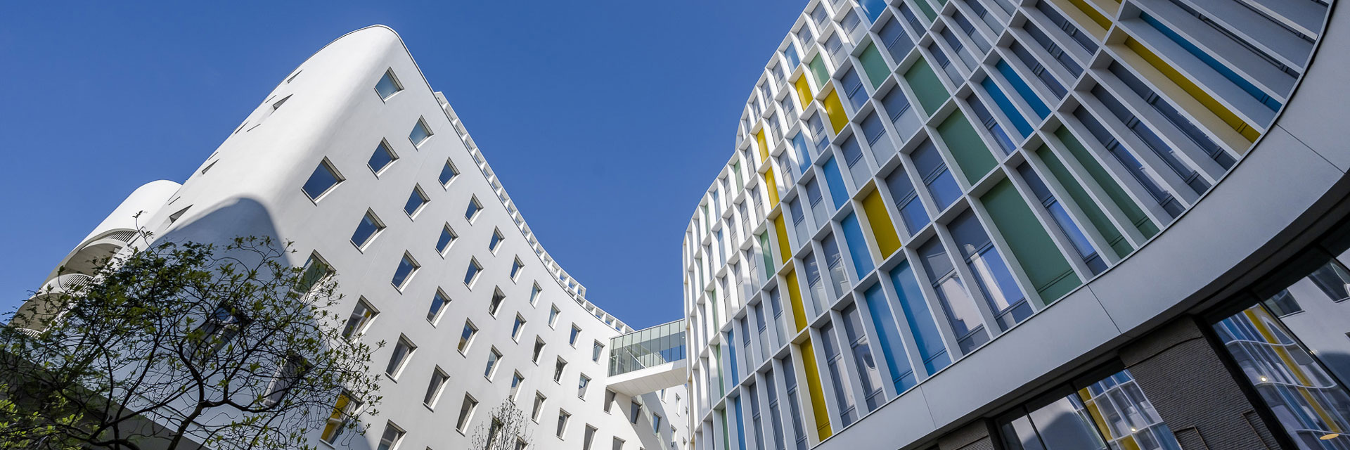 L’université Sorbonne Nouvelle engage l’élaboration de son Schéma Pluriannuel de Stratégie Immobilière (SPSI).